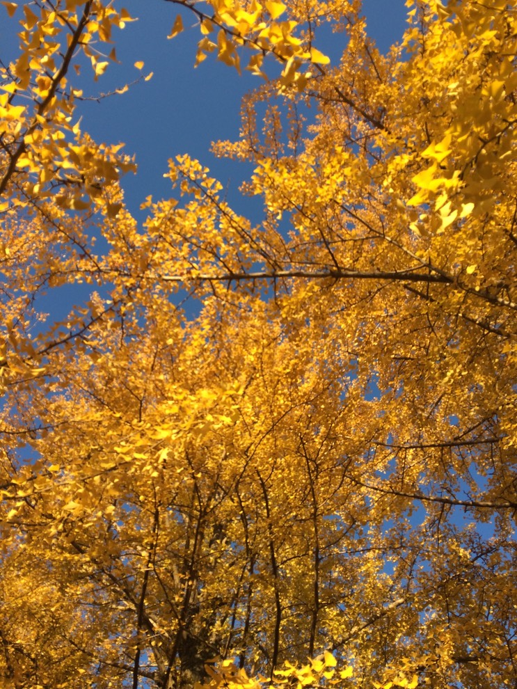 Photo 22-11-2014 15 37 58