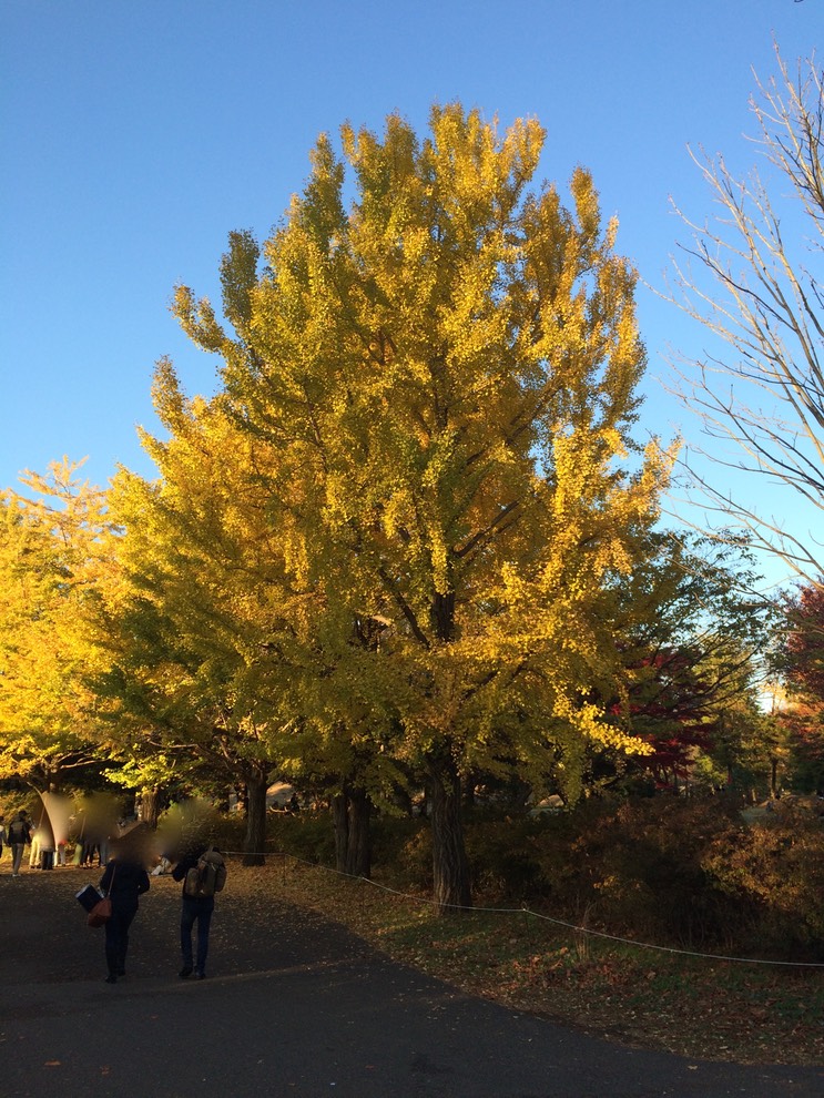 Photo 22-11-2014 15 39 32