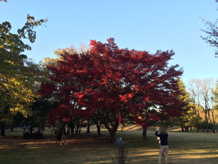 Photo 22-11-2014 15 40 14