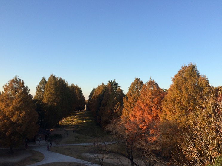 Photo 22-11-2014 15 47 01