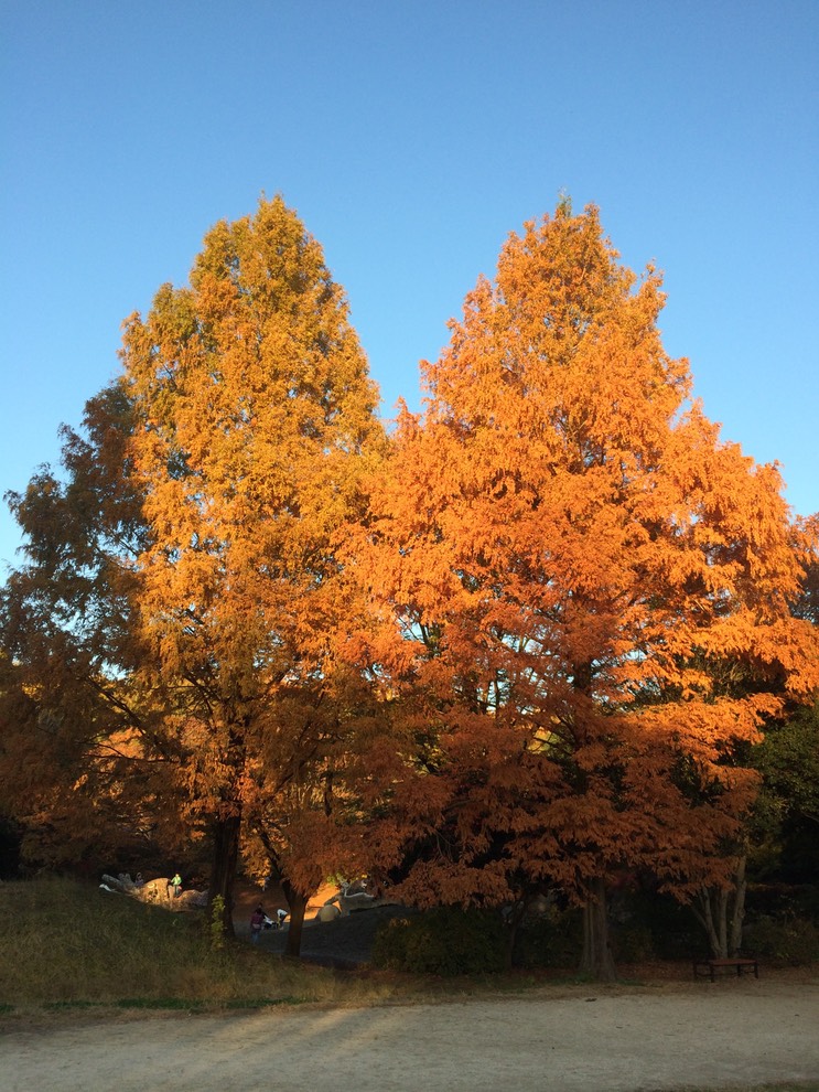 Photo 22-11-2014 15 48 08