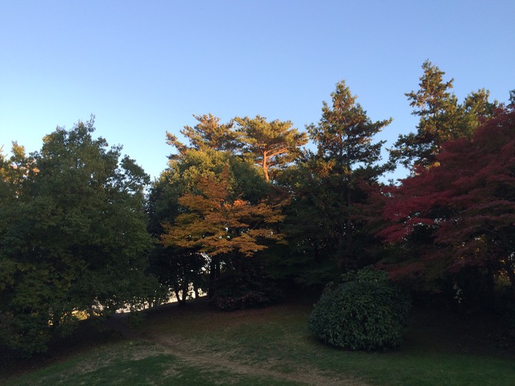 Photo 22-11-2014 15 56 46