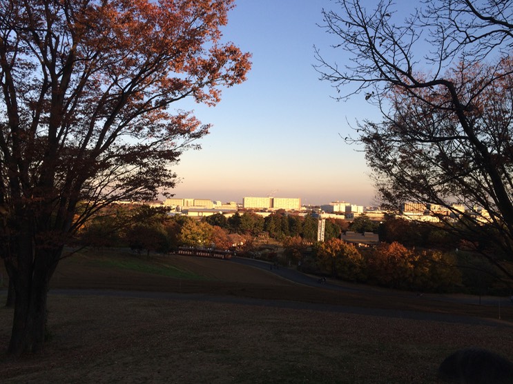 Photo 22-11-2014 15 57 28