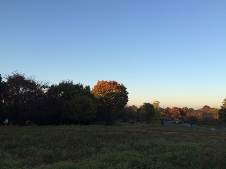 Photo 22-11-2014 15 59 47