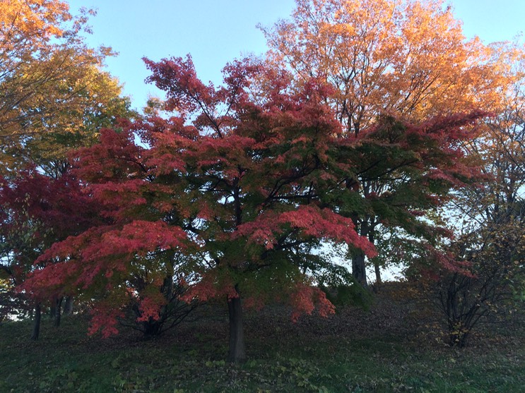 Photo 22-11-2014 16 00 09 (1)