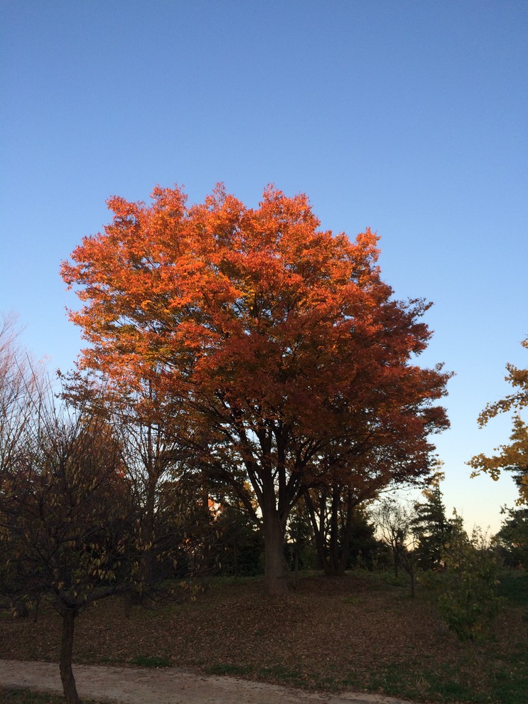 Photo 22-11-2014 16 00 42