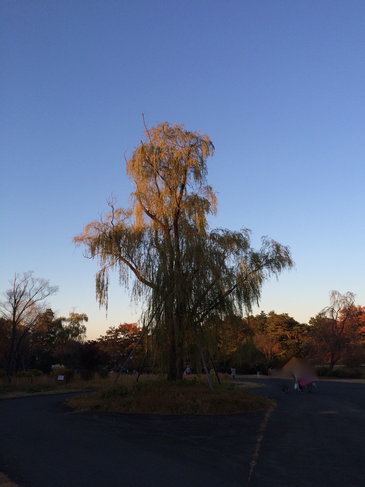 Photo 22-11-2014 16 01 35