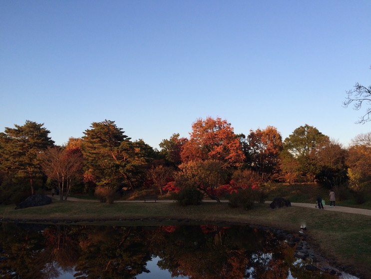 Photo 22-11-2014 16 02 15