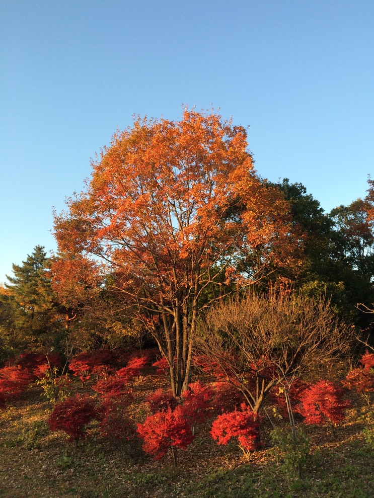 Photo 22-11-2014 16 02 54