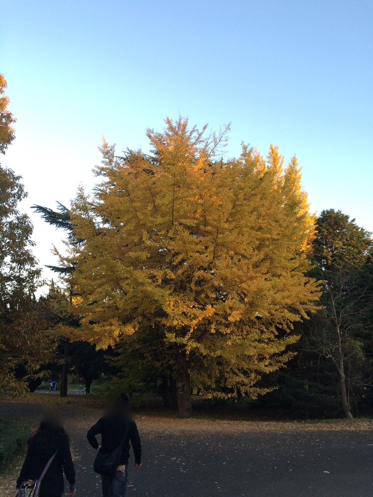 Photo 22-11-2014 16 08 11