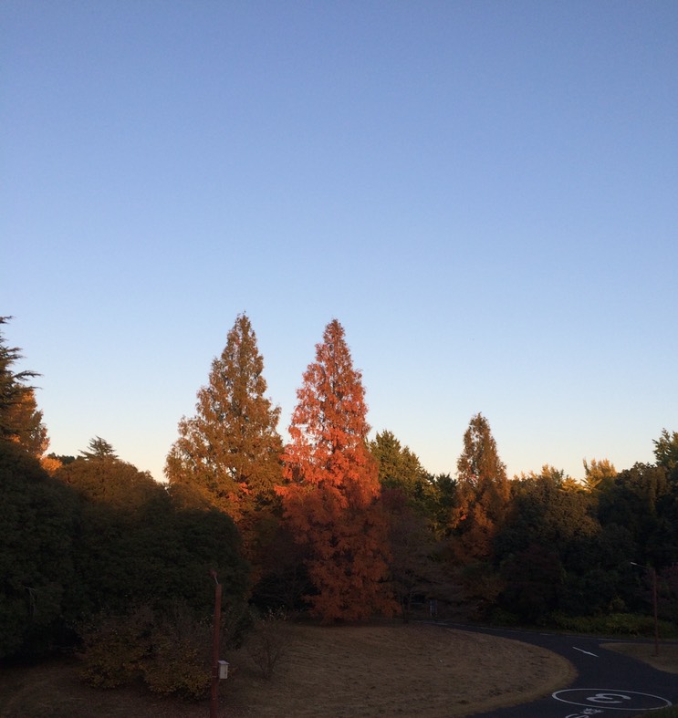 Photo 22-11-2014 16 09 52