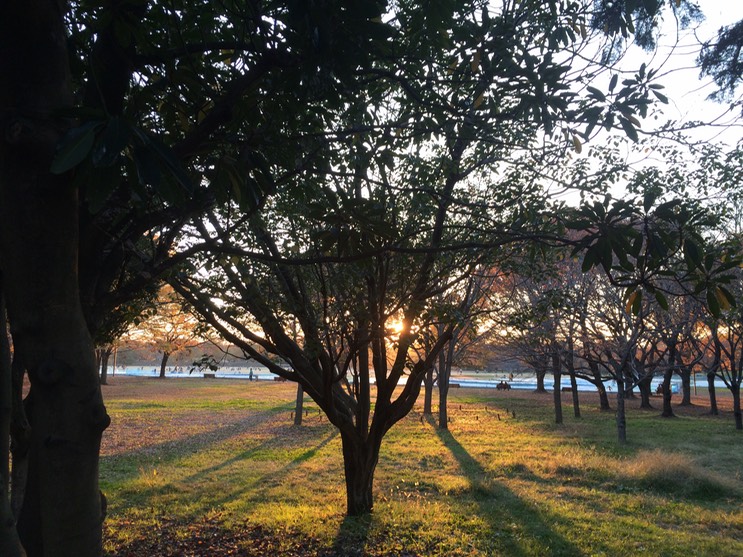 Photo 22-11-2014 16 11 30