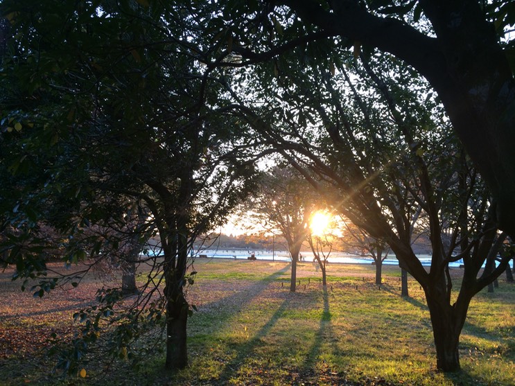 Photo 22-11-2014 16 11 38