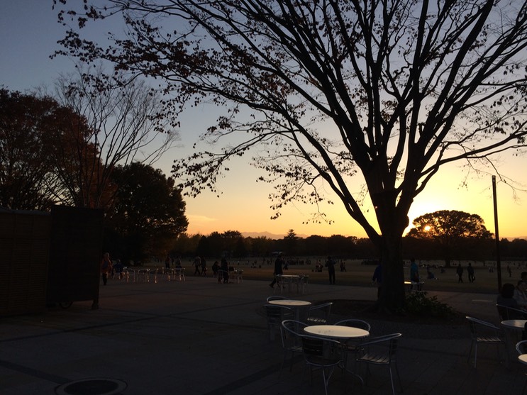 Photo 22-11-2014 16 13 23