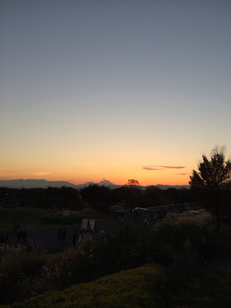 Photo 22-11-2014 16 34 56