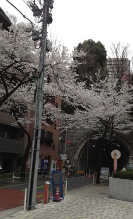 Photo 23-03-2013 13 11 57