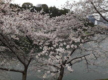 Photo 23-03-2013 13 52 45