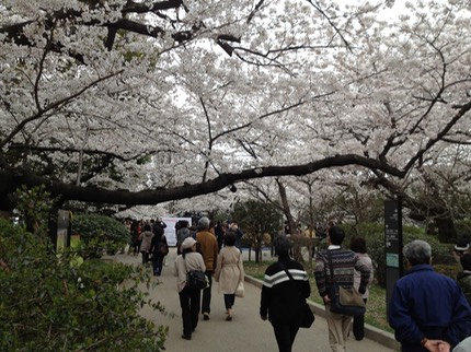 Photo 23-03-2013 14 03 40