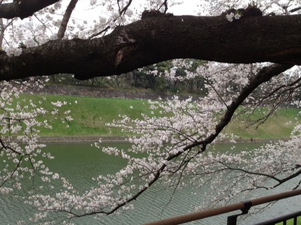 Photo 23-03-2013 14 10 13