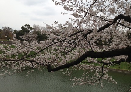 Photo 23-03-2013 14 10 17