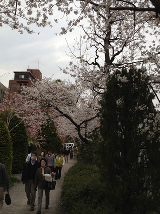 Photo 23-03-2013 14 16 16