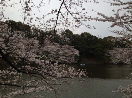 Photo 23-03-2013 14 23 31