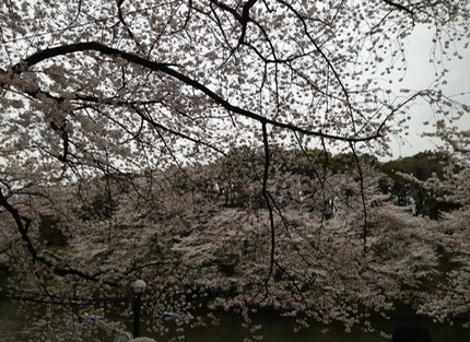 Photo 23-03-2013 14 26 18