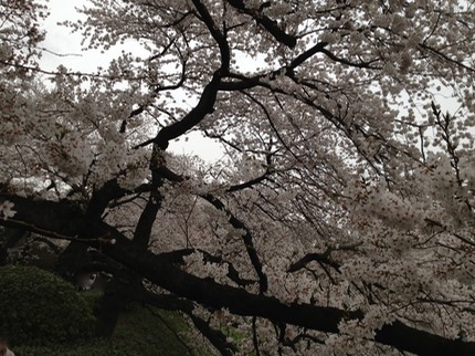 Photo 23-03-2013 14 31 39