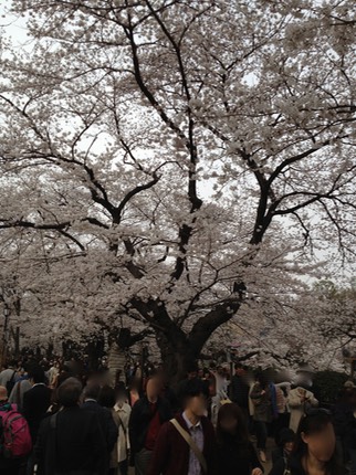 Photo 23-03-2013 14 40 54