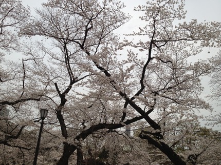 Photo 23-03-2013 14 41 36