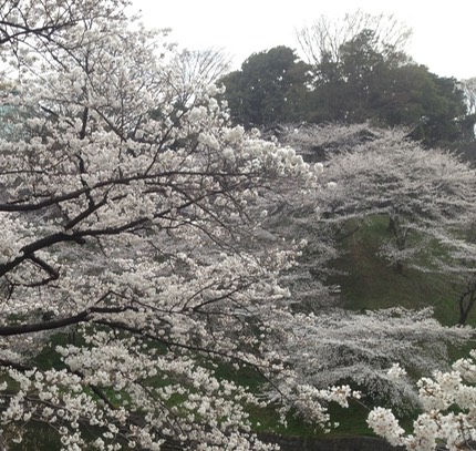 Photo 23-03-2013 14 56 35