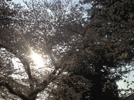 Photo 23-03-2013 15 11 30