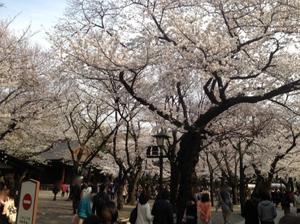 Photo 23-03-2013 15 12 27