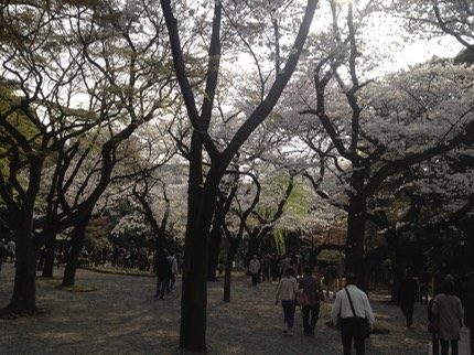 Photo 23-03-2013 15 14 39