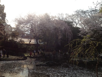 Photo 23-03-2013 15 16 35