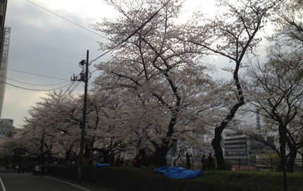 Photo 23-03-2013 15 27 39