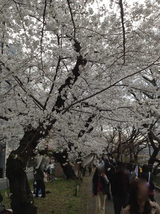 Photo 23-03-2013 15 28 46