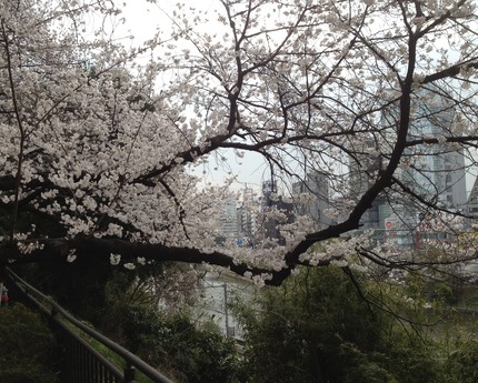 Photo 23-03-2013 15 30 30