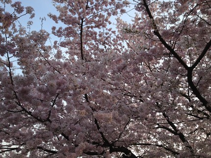 Photo 23-03-2013 16 07 48