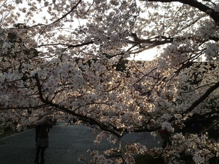 Photo 23-03-2013 16 10 35