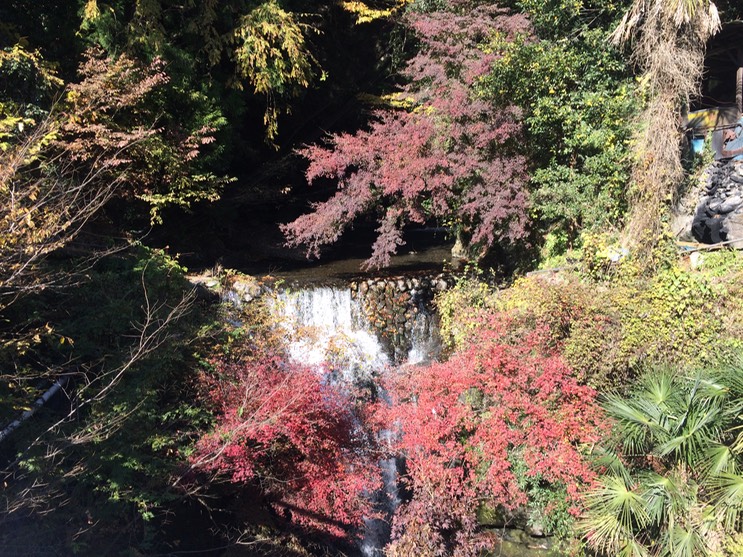 Photo 23-11-2014 11 32 24