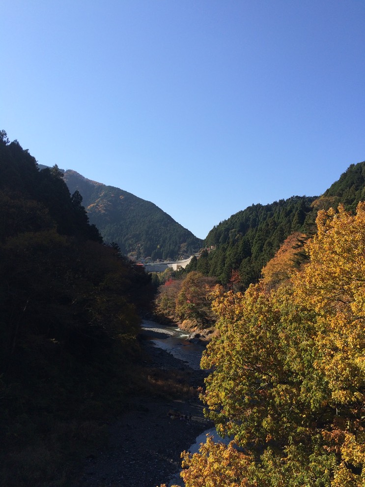 Photo 23-11-2014 11 35 54