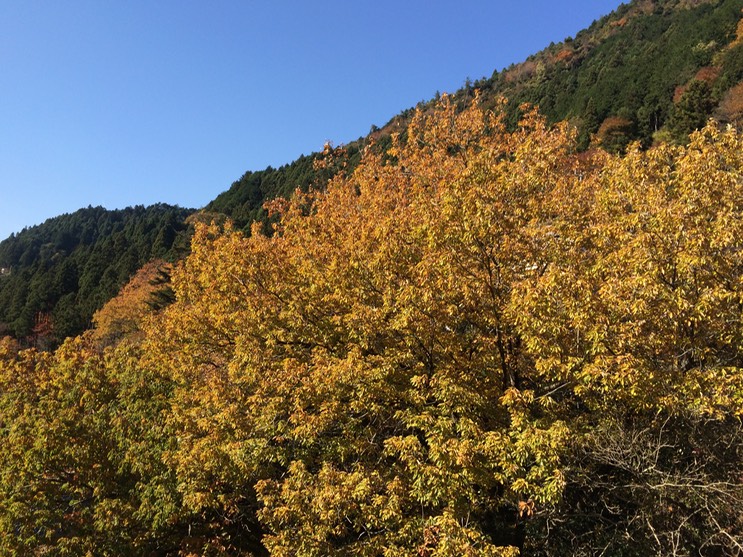 Photo 23-11-2014 11 35 58