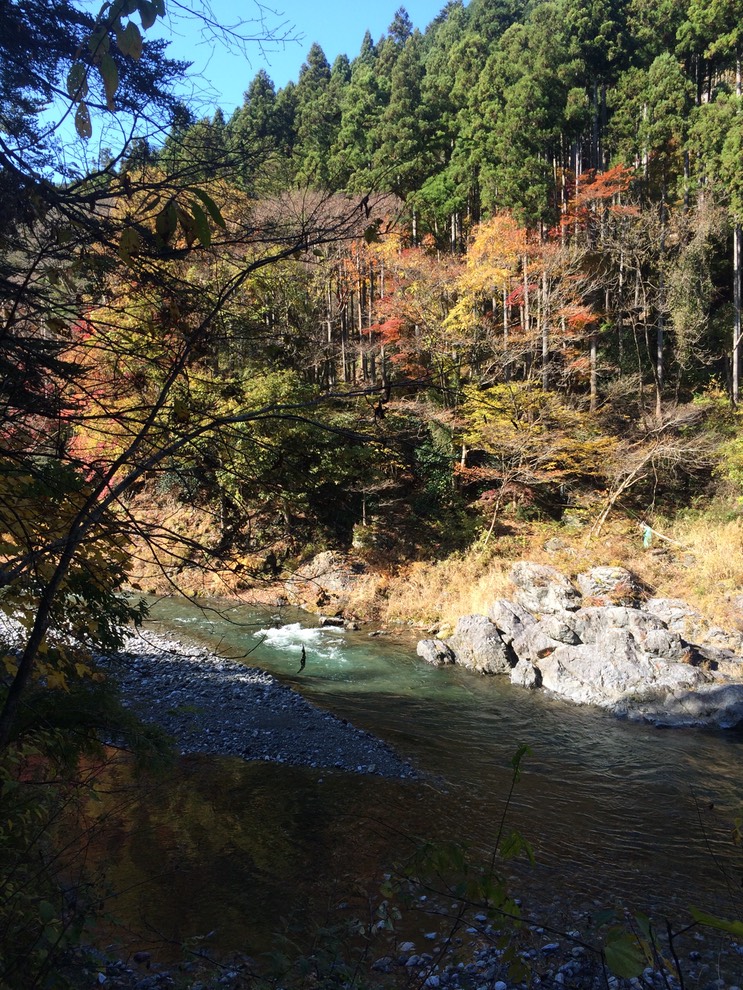 Photo 23-11-2014 11 40 35