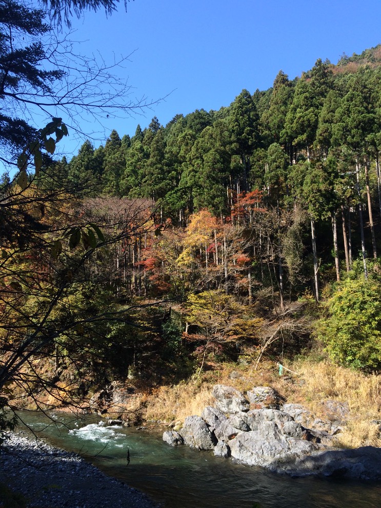 Photo 23-11-2014 11 40 45