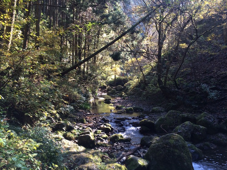 Photo 23-11-2014 11 45 14