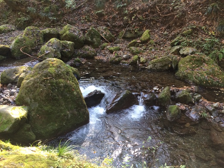 Photo 23-11-2014 11 45 36