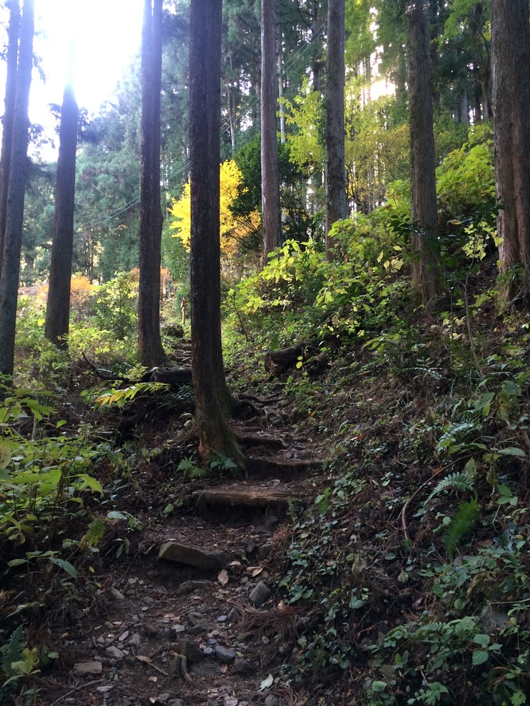 Photo 23-11-2014 11 47 45