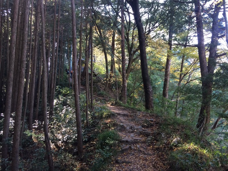 Photo 23-11-2014 11 56 20