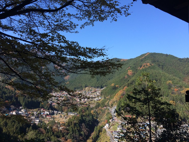 Photo 23-11-2014 11 58 28